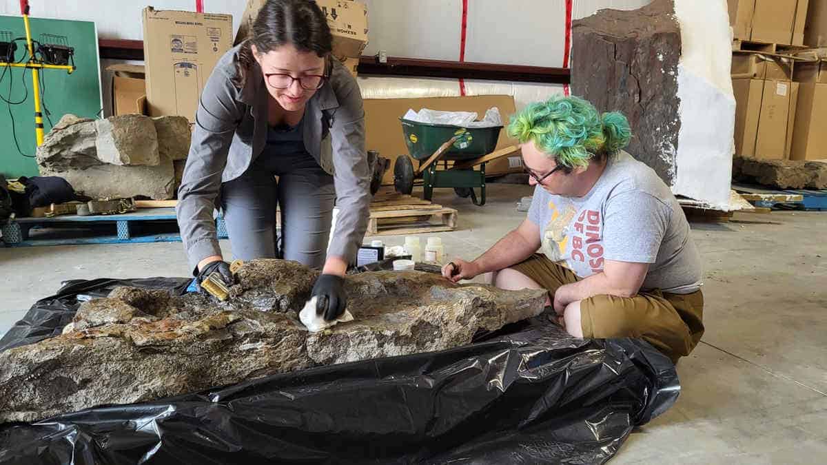 Palaeontologists securing a footprint fossil