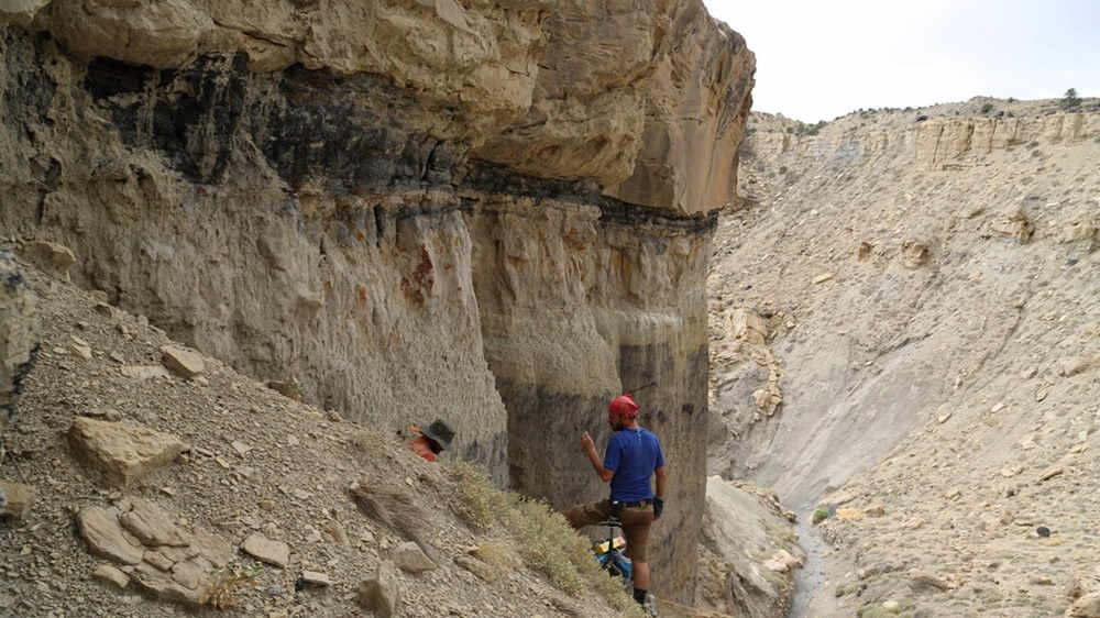 Palaeontologist looking for fossils