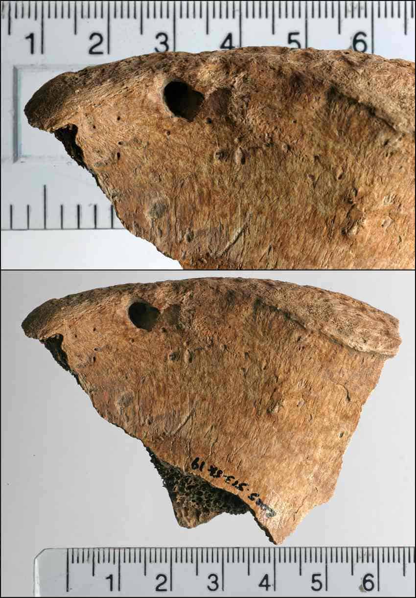 Gladiator image2 850