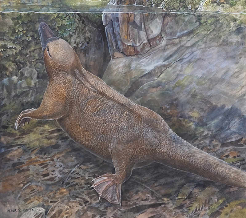 Illustration of ancient monotreme