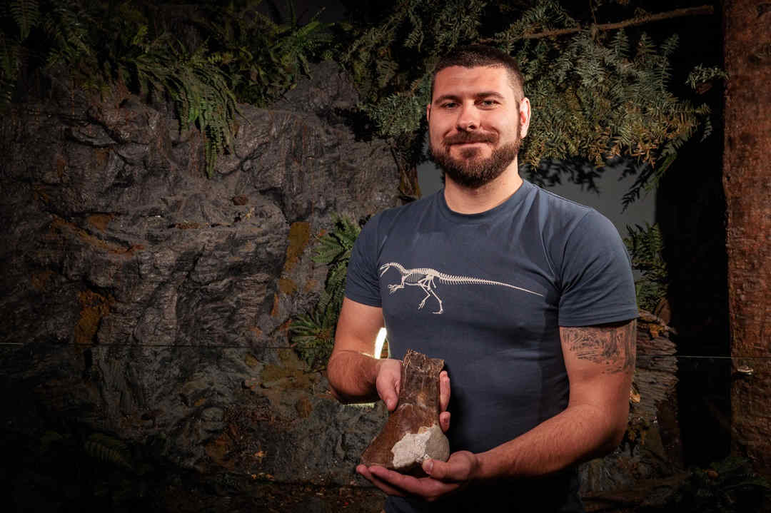 A palaeontologist holds fossil tibia