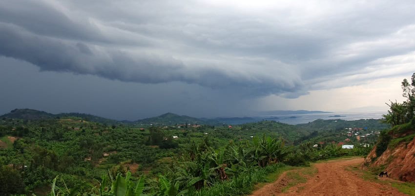 The sky over s lush green forest is dark grey with storms