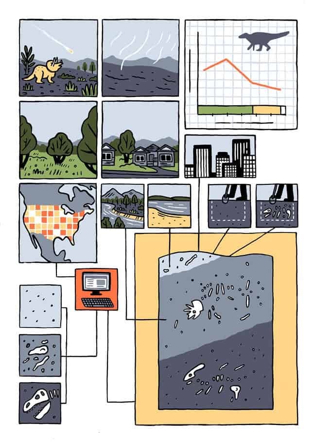 Graphic art representing dinosaur fossilisation