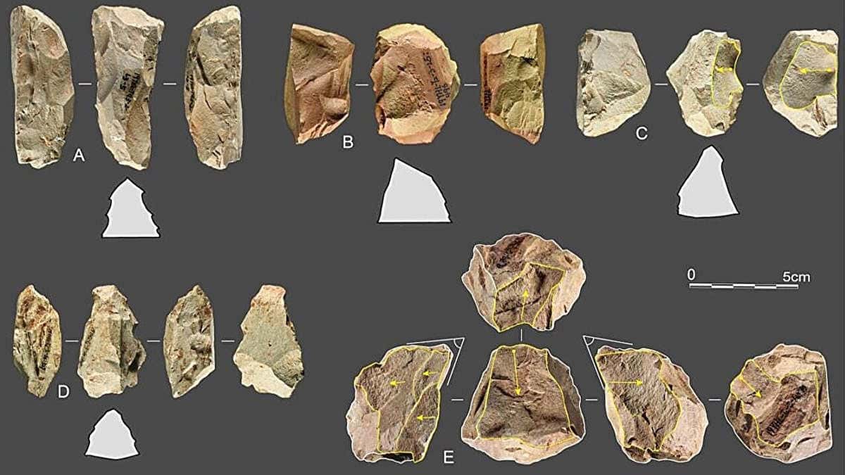 An array of ancient human stone tools on grey background