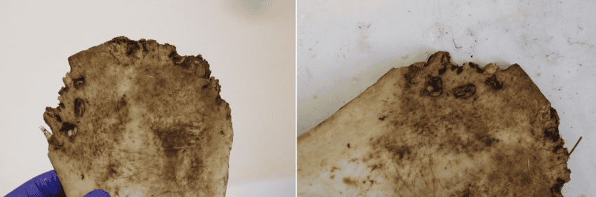 Journal. Pone. 0319847. G005 850