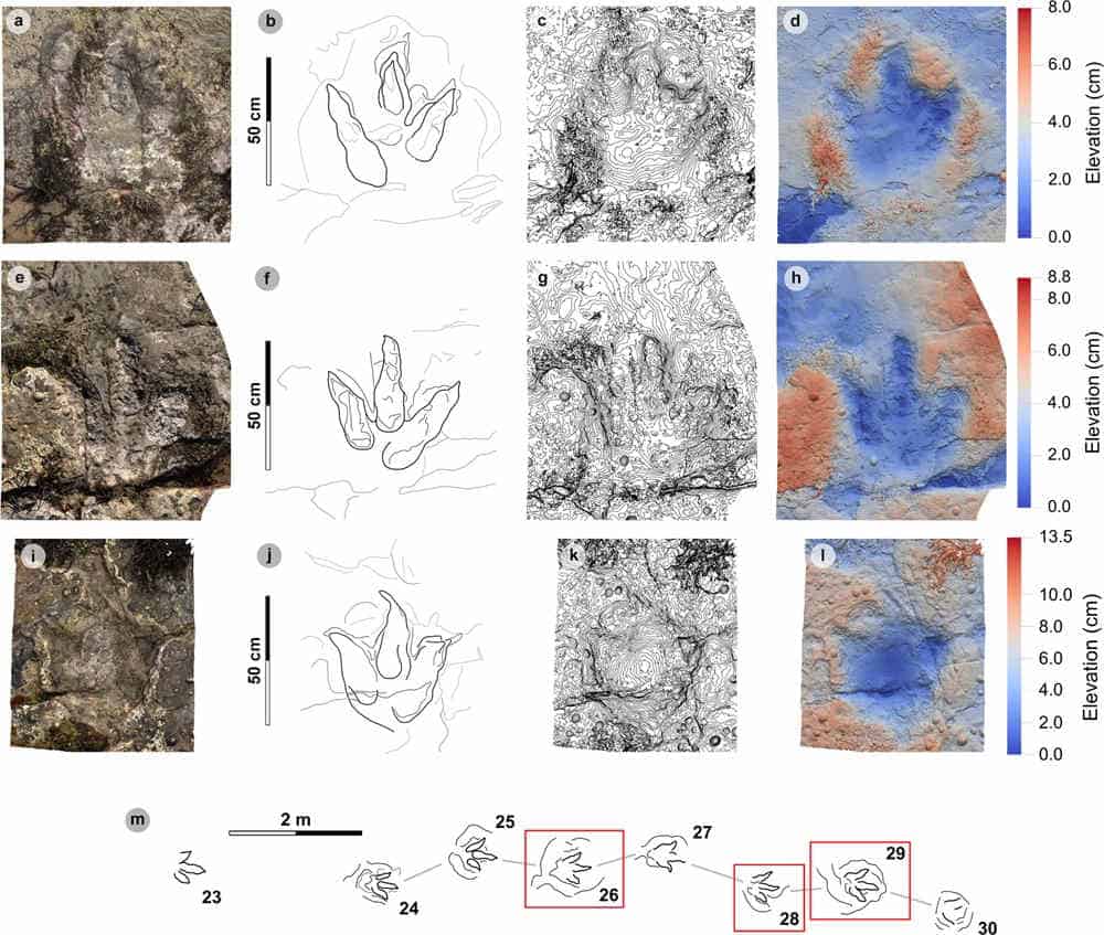 Diagram showing three fossil dinosaur tracks