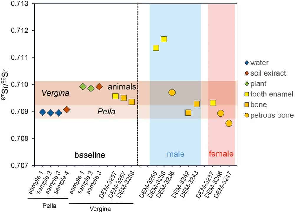 Remains found in great