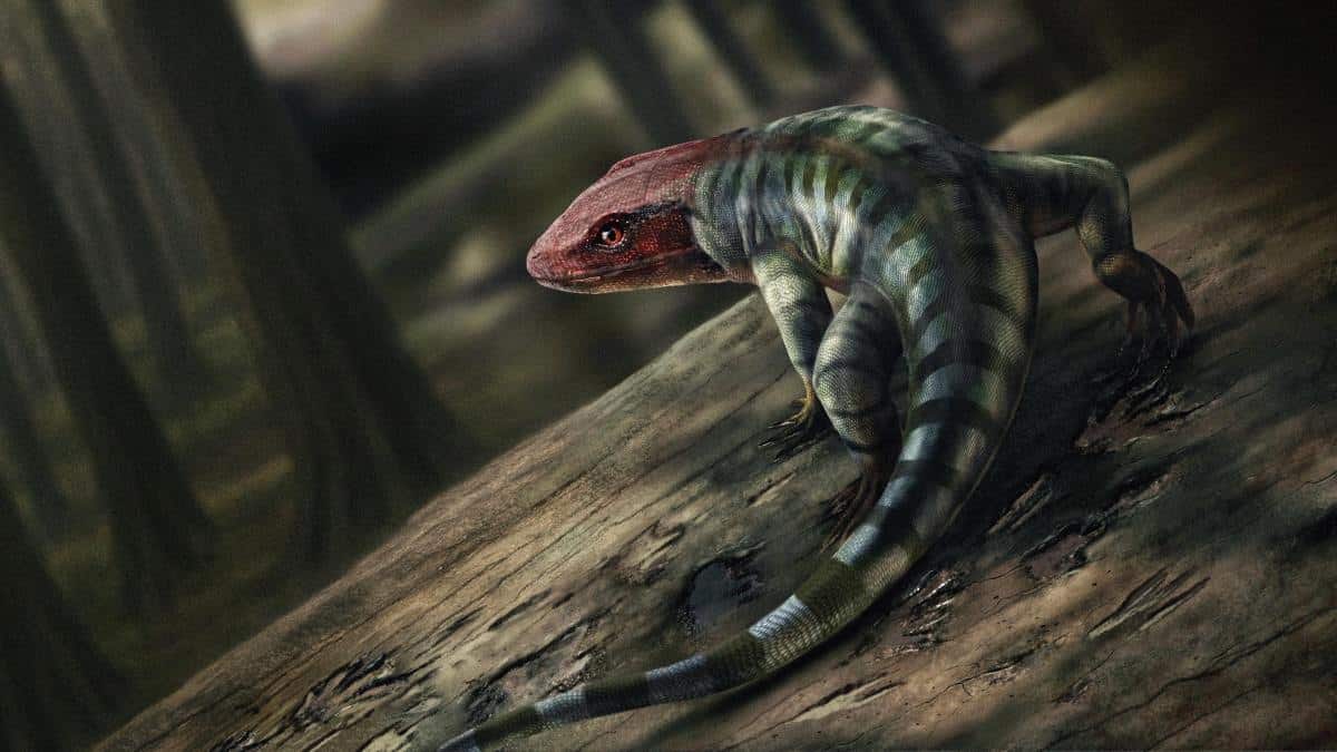 Illustration of ancient reptile leaving footprints in forest