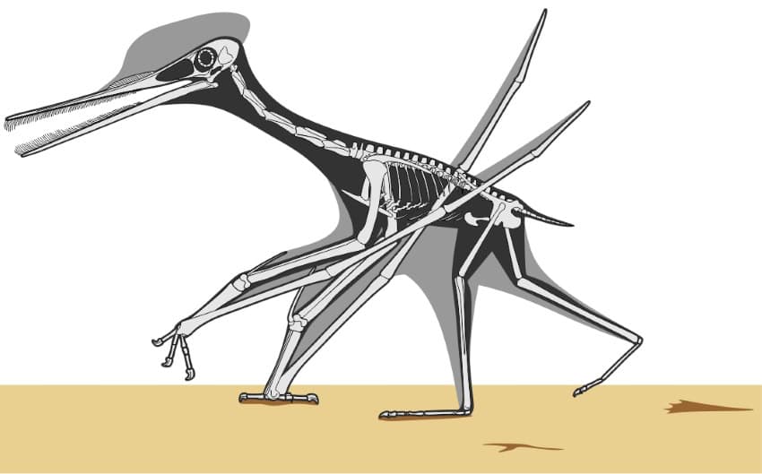 Credit university of leicester 850