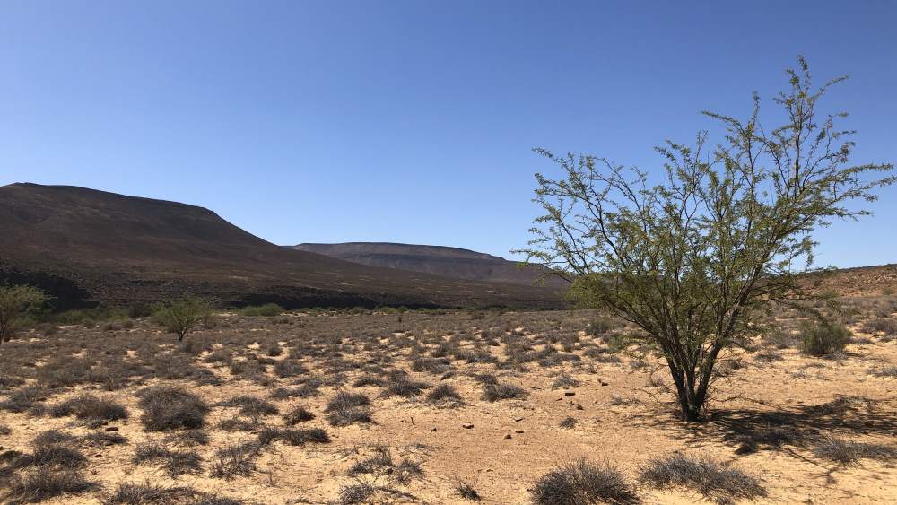 Arid africa bush blue sky
