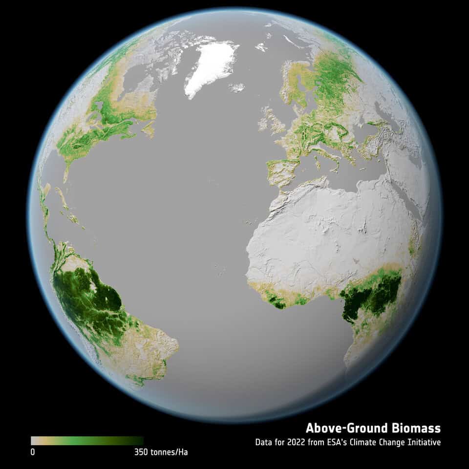 Global above ground biomass 2022 article