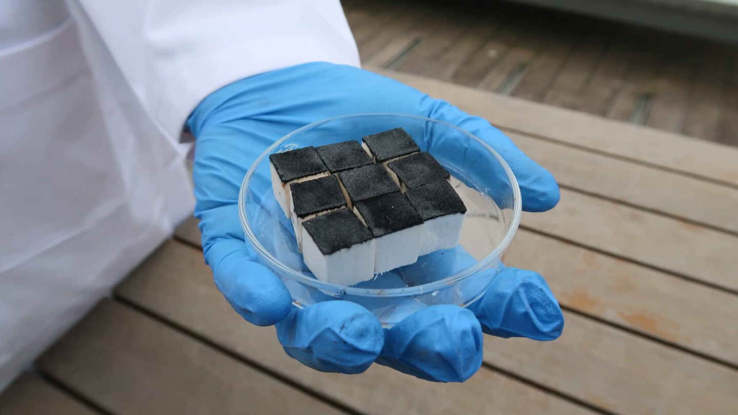 Nine cubes in dish with blue glove