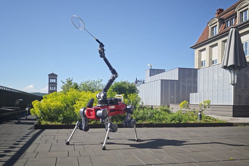 A 4-legged robot stands outside on a sunny day. It holds a badminton racket aloft with its single arm
