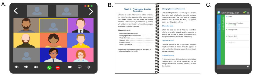 Pain and emotion therapy image 850