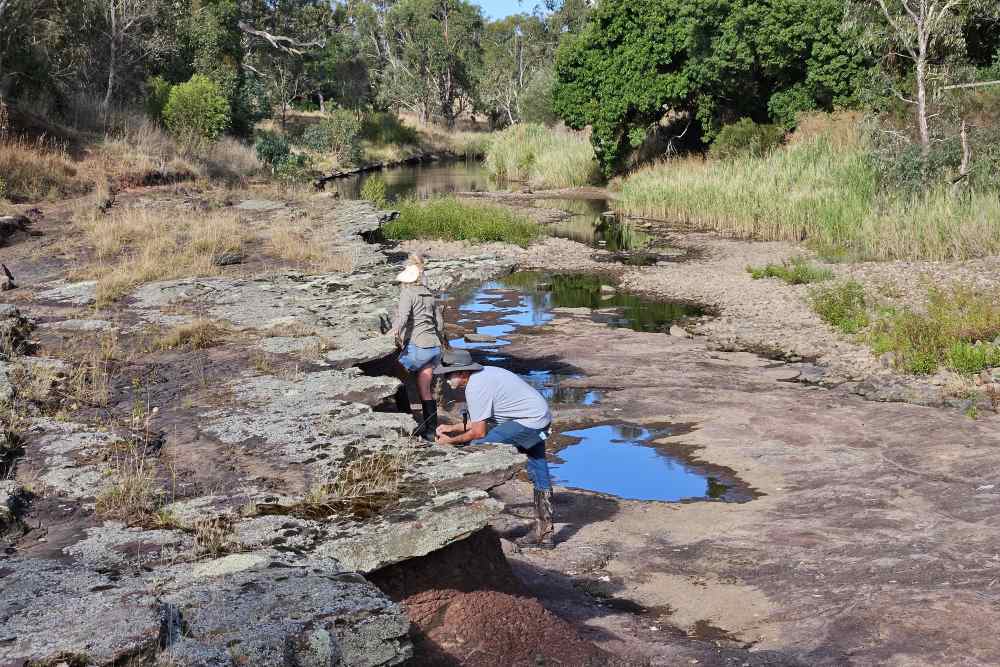 People searching for fossils in river bed