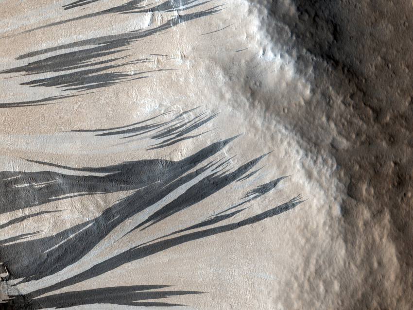 Dark black streaks across a pale martian surface