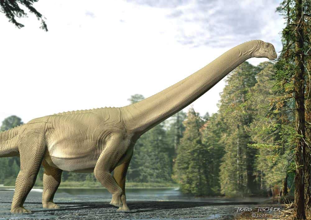 Artist impression of sauropod dinosaur