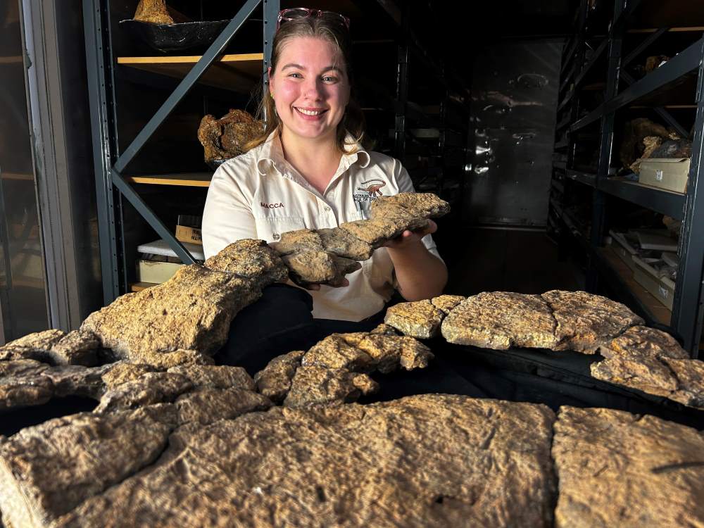 Palaeontologist holding fossils in storage