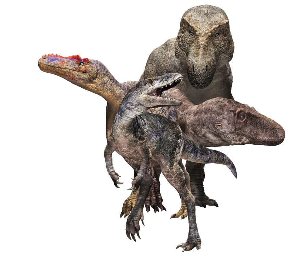 Group of bipedal t rex dinosaurs on white background