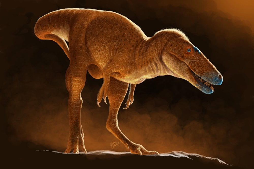 Bipedal dinosaur orange