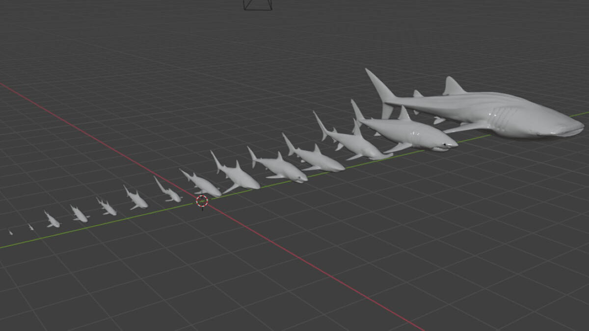 Grey 3d models of sharks of different sizes on grid