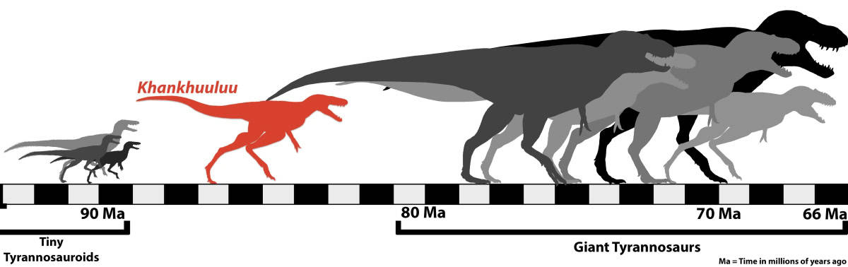 Group of bipedal t rex dinosaurs on white background timeline