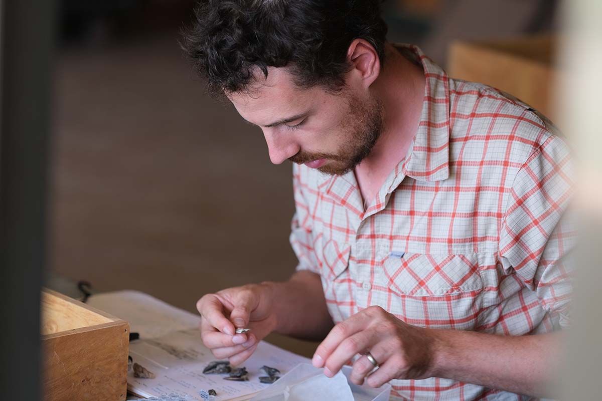 Man examining fossils on desk