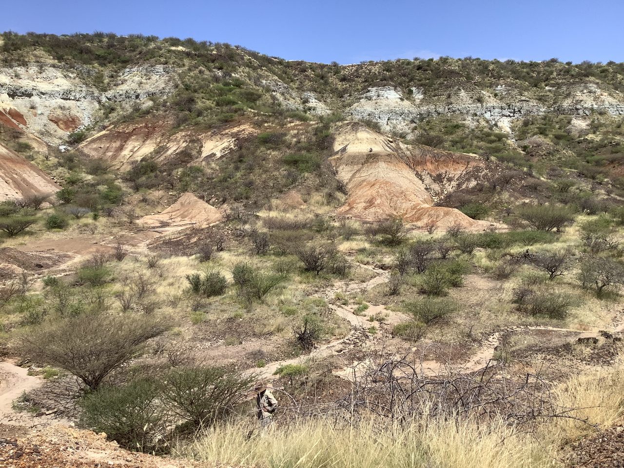 Hill fossil site in day time