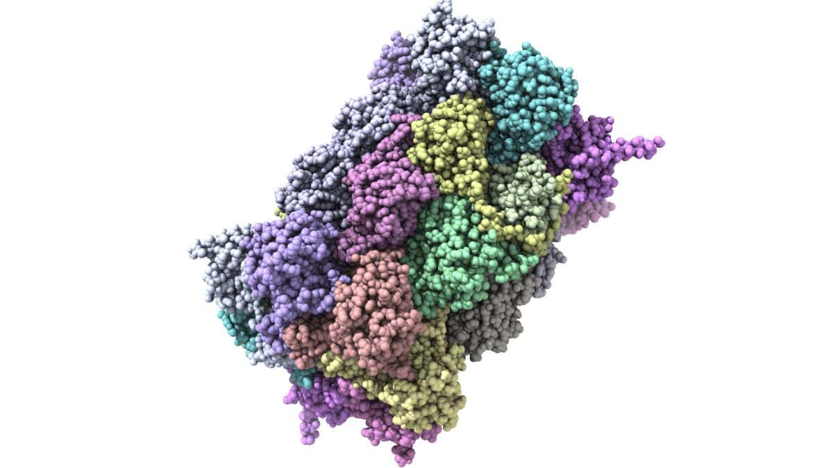 Graphic render of proteasome on white background