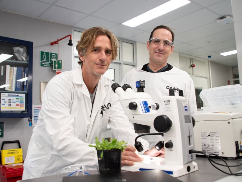 Two blond and brunet men looks men stand next to a microscope in a lab
