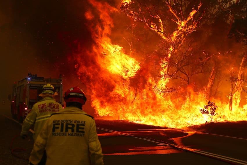 The backs of two uniformed firemen walking towards a bush fire.