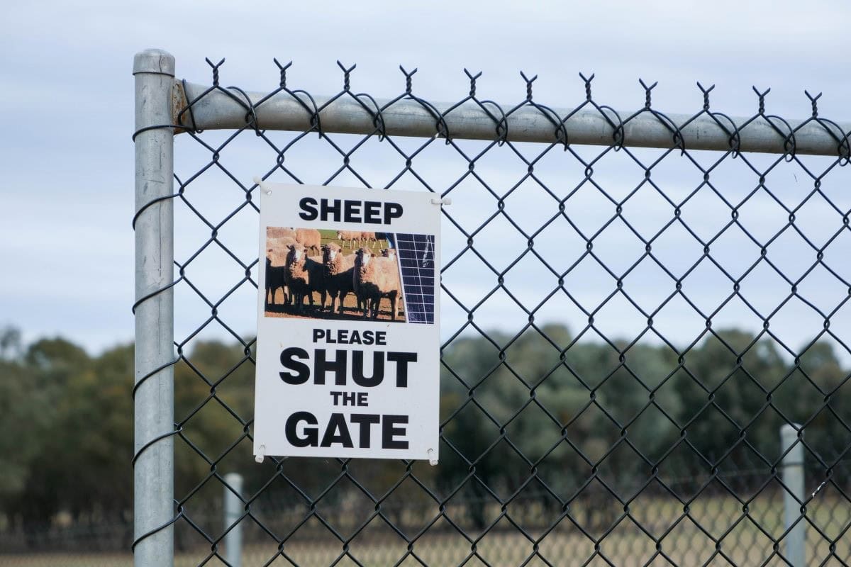 Sign on a fence reads sheep. Please shut the gate.