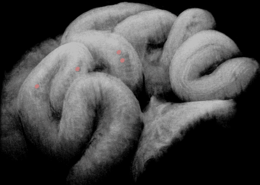 A black and white image showing a twisting tubular structure with small red spheres inside