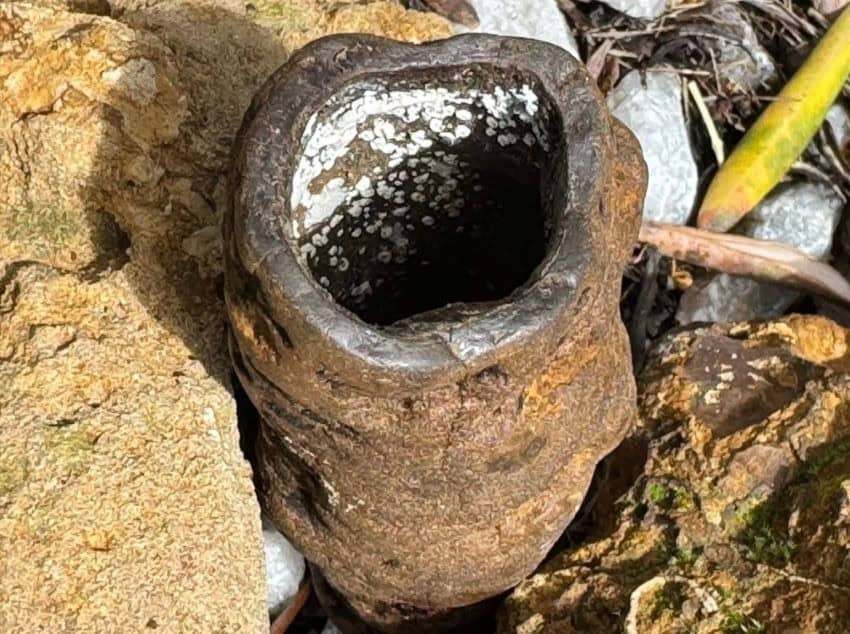 Ironstone burrow cast 850