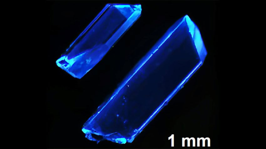 A photograph of 2 blue crystals against a black background. They are roughly 2mm long. They are used as components of blue leds.