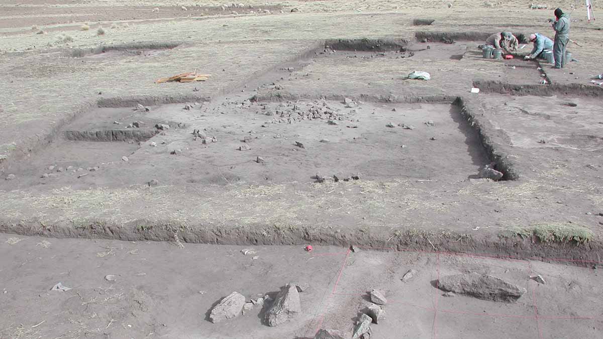 Jiskairumoko peru wikicommons