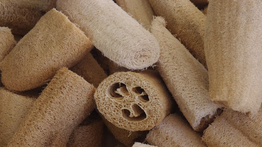 A pile of light brown, cylindrical fibrous loofahs