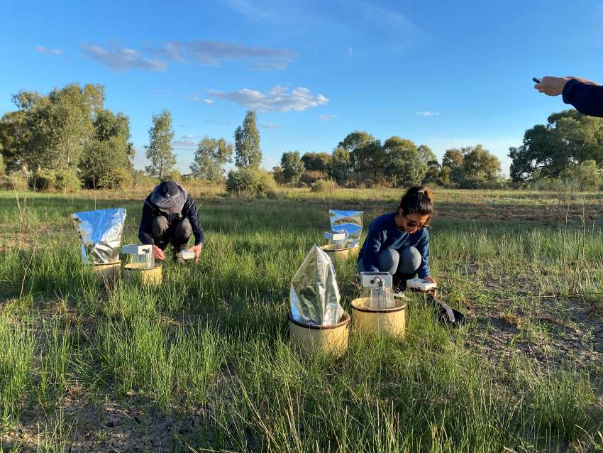 Two people collect samples from a lush green wetland