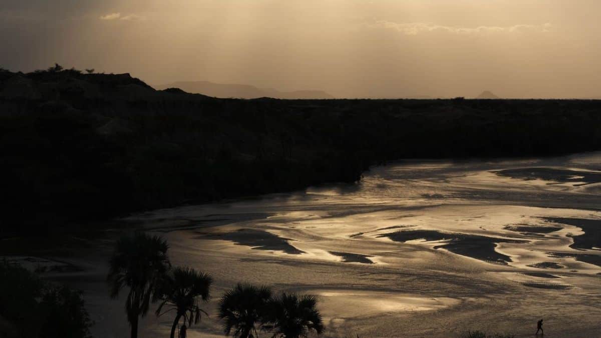 Sunset river bank africa