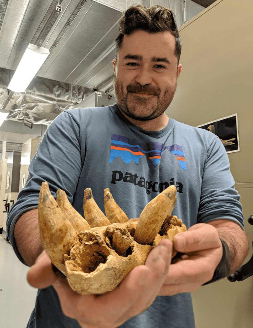 Man with hands outstretched holding a fossil jaw