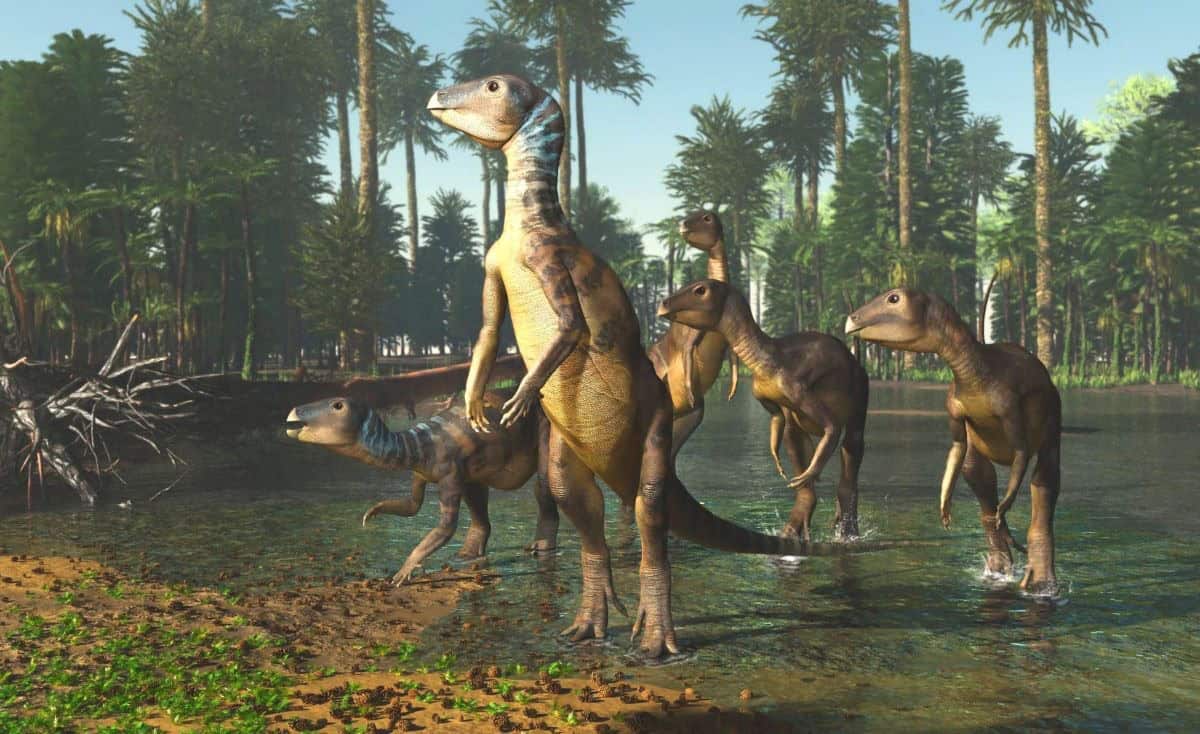 Five dinosaurs walking out of the shallow water with tall trees in the background.