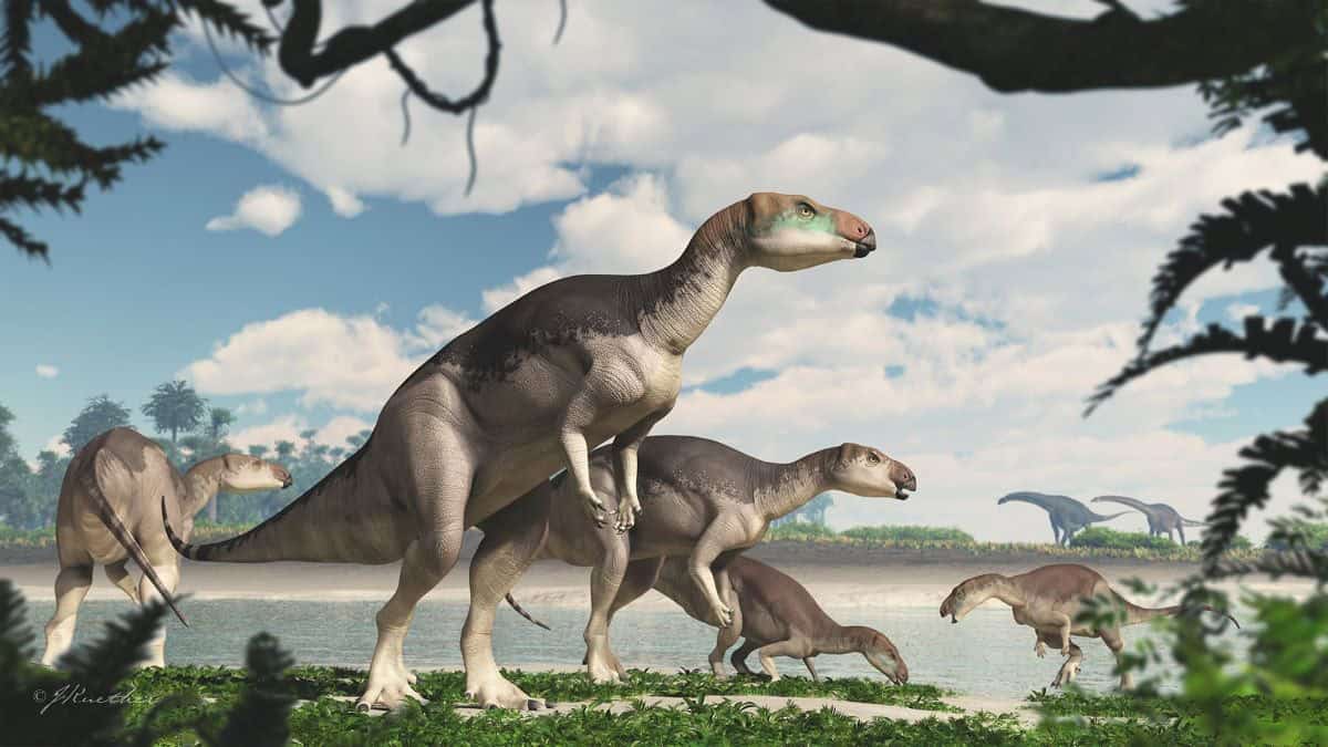 Illustration of seven dinosaurs standing on their back legs, grazing with a lake in the background.