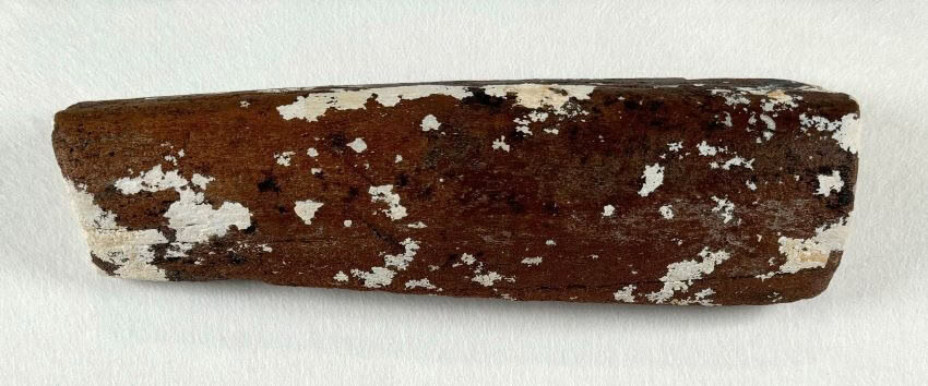 Whalebone edited 850