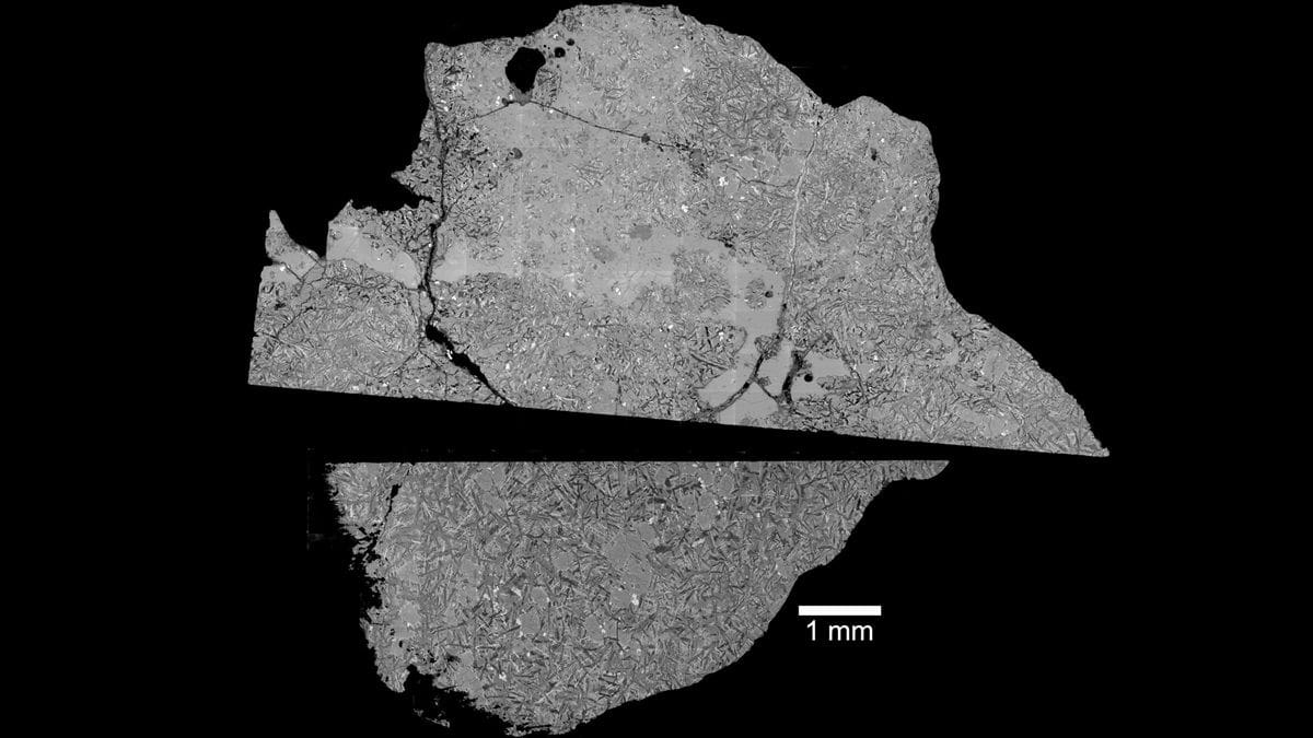 Different shades of grey highlight different chemical compositions of the minerals making up the rock