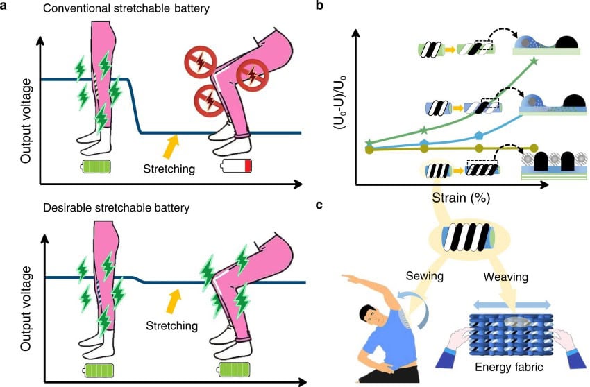 1 s2. 0 s2950235725000162 gr1 lrg 850
