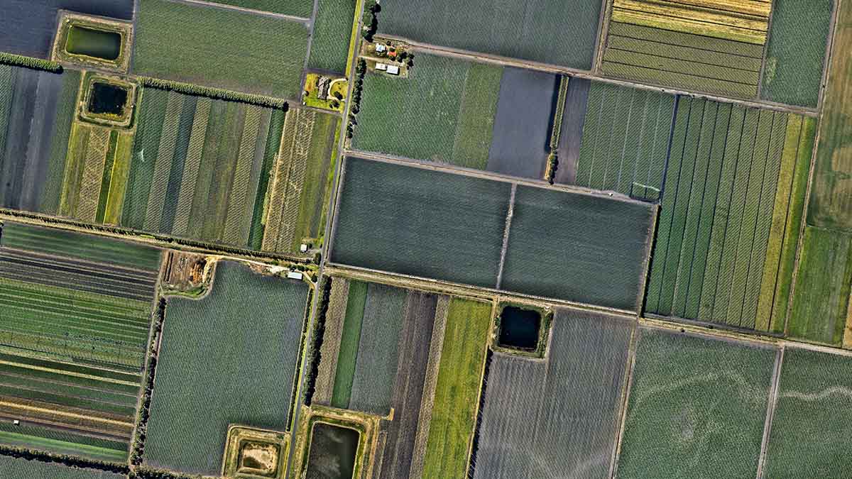 Arial farm getty 1010801224 1200x675 1