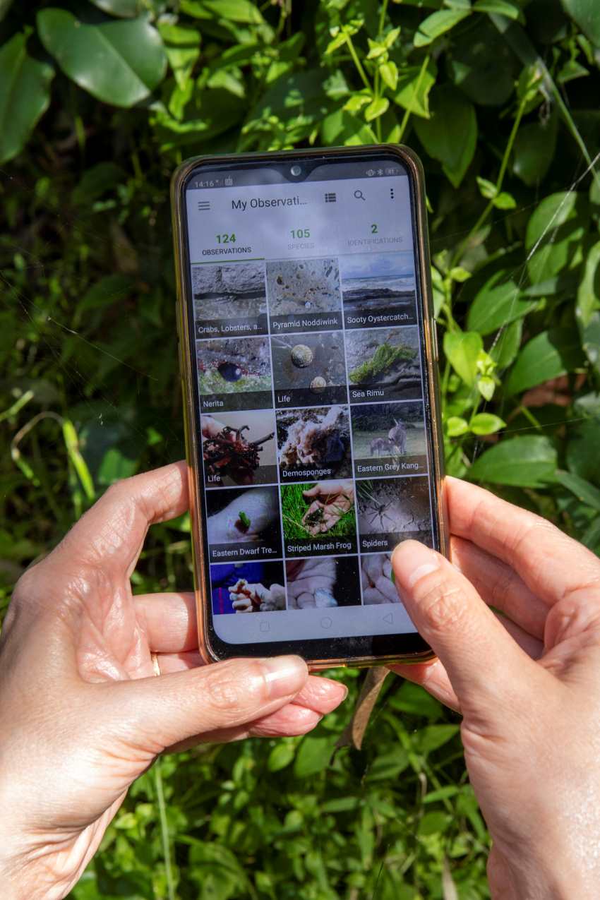 The screen of a smartphone displays the atlas of living australia app