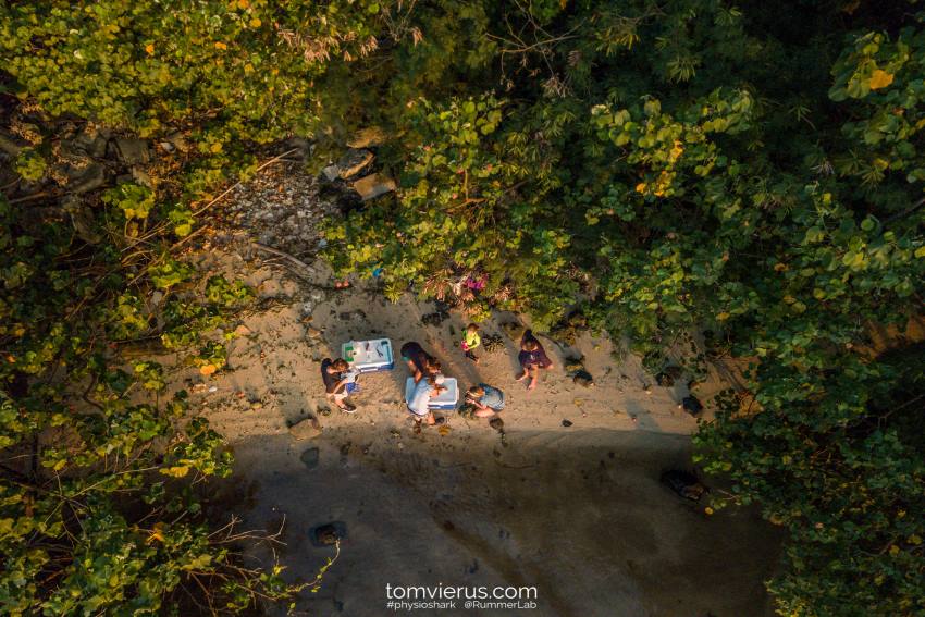 An overhead photograph of a group of people gathered around equipment on a small stretch of sandy beach surrounded by vegetation