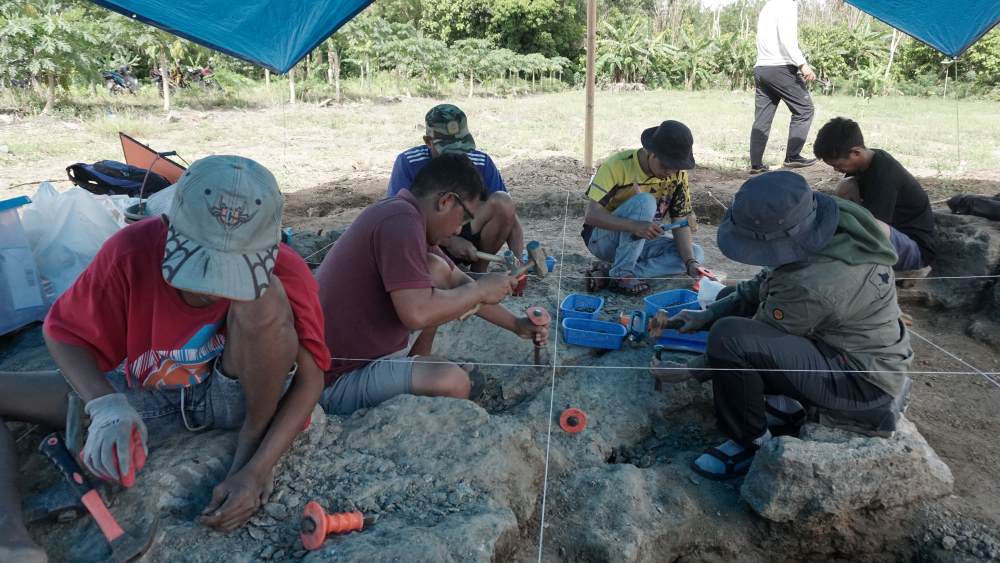 Archaeological site excavation crew in indonesia