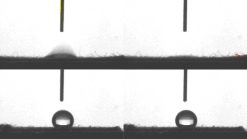 F25 sustainable cotton img 850